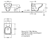 Инсталляция Geberit с безободковым унитазом Geberit Renova Nr.1 Plan F202170000, сиденье микролифт, комплект