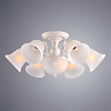 Потолочная люстра Arte Lamp Campanula A6306PL-8WG