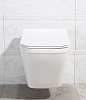 Крышка-сиденье BelBagno Dory BB2138SC с микролифтом