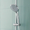 Душевая лейка Grohe Euphoria 110 Massage 27239000