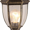 Наземные низкие светильники Arte Lamp 3151 A3151FN-1BN