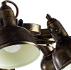 Потолочная люстра Arte Lamp Martin A5216PL-8BR