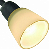 Спот Arte Lamp Lettura A7009AP-1BR