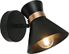 Спот Arte Lamp Baltimore A1406AP-1BK