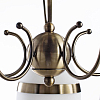 Потолочная люстра Arte Lamp 55 A6192PL-5AB