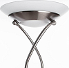 Торшер Arte Lamp Duetto A4399PN-2SS