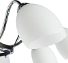 Потолочная люстра Arte Lamp Florentino A7144PL-8BK