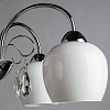 Потолочная люстра Arte Lamp Millo A9548PL-5CC