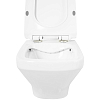 Подвесной унитаз BelBagno Sela BB3201CHR/BB3201SC безободковый с сиденьем микролифт, белый