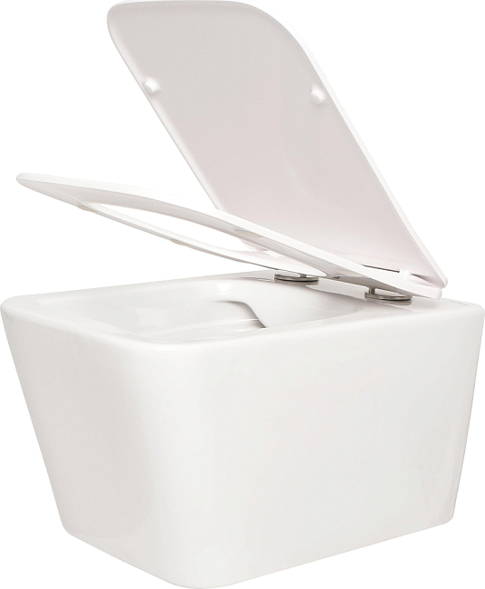 Комплект Duravit DuraSystem WD1012000000 с подвесным унитазом San More Ispirare SMT971902 с сиденьем микролифт
