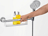 Поручень с полкой и держателем для душа Hansgrohe Unicar 26328400