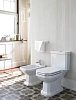 Напольный унитаз Duravit 1930 Series 022709