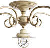 Потолочная люстра Arte Lamp 6 A4579PL-5WG