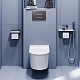 Подвесной унитаз Damixa Eclipse DX31C1738SC, безободковый, крышка-сиденье микролифт, цвет белый