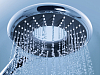 Душевая лейка Grohe Rainshower Icon 27639000