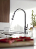 Смеситель для кухни Hansgrohe Talis S Variarc 14877800