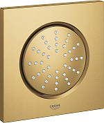 Душевая форсунка Grohe Rainshower F-series 27251GN0 холодный рассвет, матовый