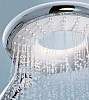 Душевая лейка Grohe Rainshower Icon 27276000