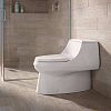 Унитаз-моноблок Kohler San Raphael Grande 8688T-S-0 с монтажным комплектом