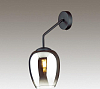 Бра Odeon Light Palta 4759/1W