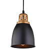 Подвесной светильник Arte Lamp Eurica A4248SP-1BK