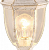 Наземные низкие светильники Arte Lamp 3151 A3151FN-1WG