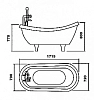 Акриловая ванна Appollo TS TS-1705 белый