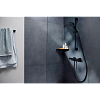 Душевой комплект Hansgrohe Pulsify Select 24262670 черный матовый