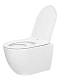 Комплект Jaquar JCS-WHT-2400FS с подвесным унитазом San More Fiaba SMT971903 с сиденьем микролифт