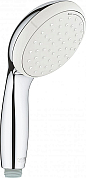 Душевая лейка Grohe Tempesta New 27597001