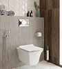 Ёршик Decor Banyo Toilet Brushes 6001 01 02 хром