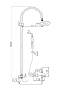 Душевая система Rav-Slezak Labe L554.5/3SM бронза, белый