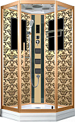 Душевая кабина Niagara Lux 7717G 100x100x220, золото