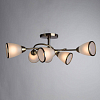 Потолочная люстра Arte Lamp 3 A6059PL-6AB