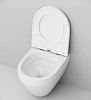 Инсталляция Geberit Duofix Delta с безободковым унитазом AM.PM Spirit FlashClean C701700WH 2.0, сиденье микролифт, клавиша хром, 458.163.21.1/C701700WH/C707857WH